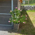 Casa 2