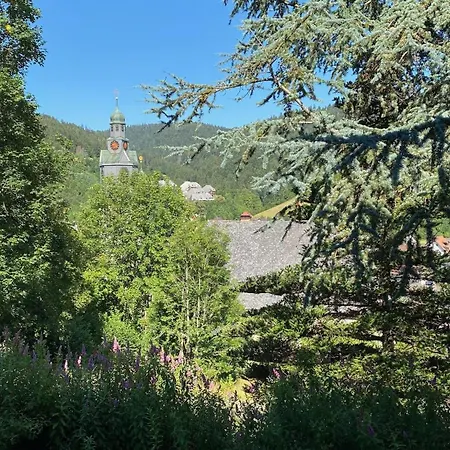 Lägenhet Casa 2 Todtmoos