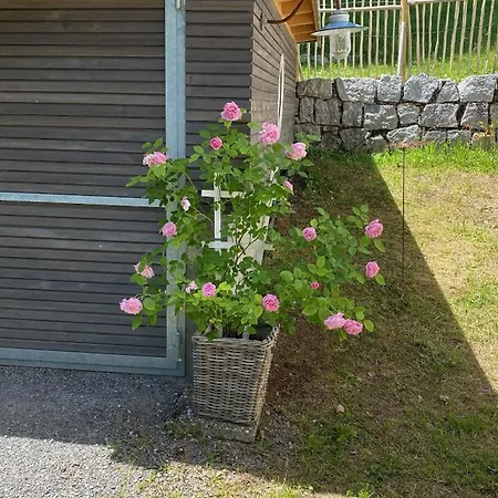 Casa 2