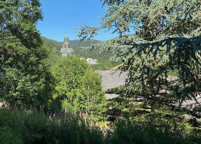 Apartment Casa 2 Todtmoos